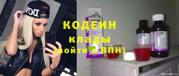 ECSTASY Алзамай
