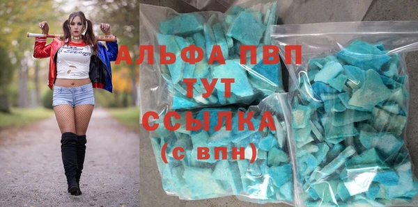 ECSTASY Алзамай