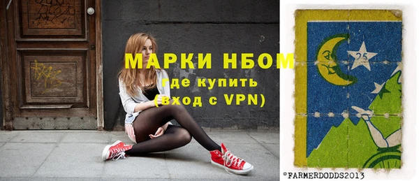 ECSTASY Алзамай
