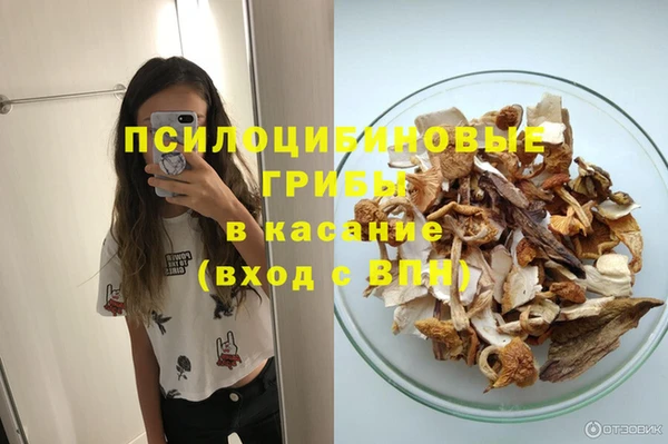 дживик Алексин