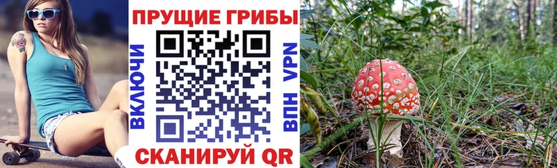 Псилоцибиновые грибы прущие грибы  закладки  Енисейск 